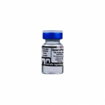 Panaeolus Goliath Sporenflesje (10ml)